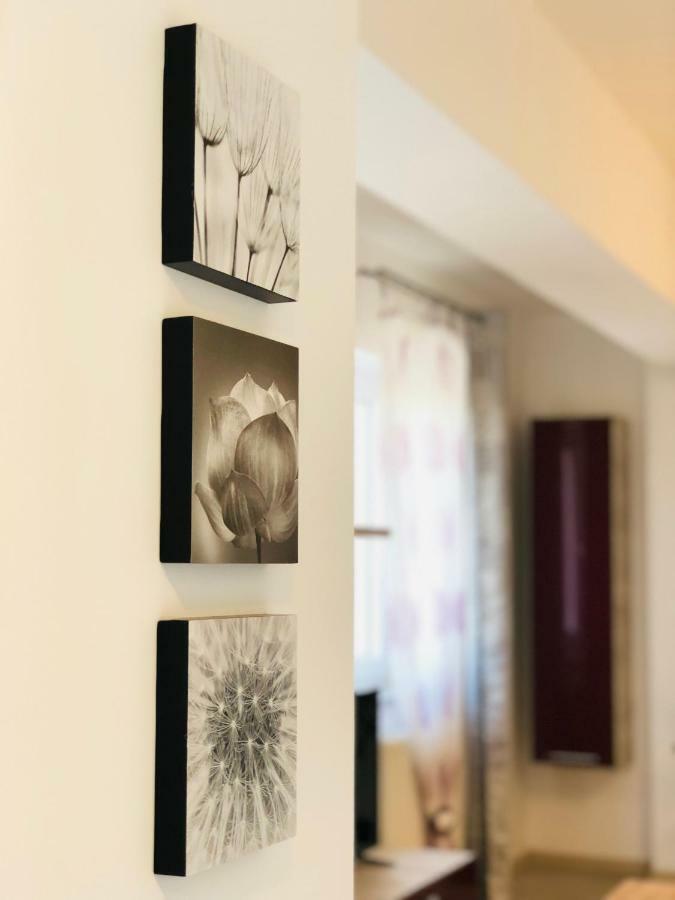 Eme Apartments Braşov Buitenkant foto